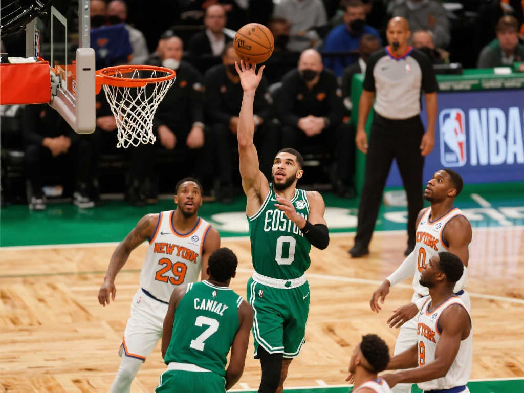 名职业运动 名职业运动